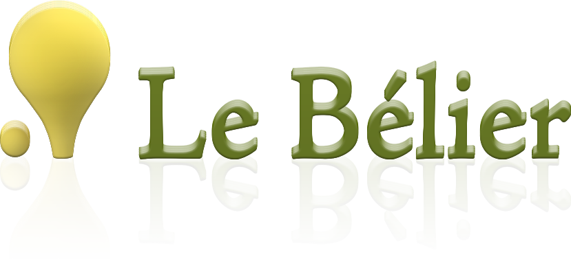 关于Le Bélier SA（百炼集团）